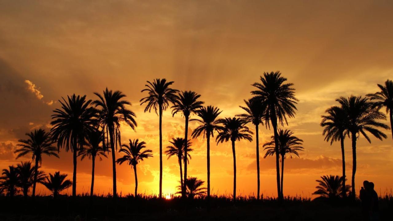 Higuericas Beach Apartment Pilar de la Horadada Dış mekan fotoğraf